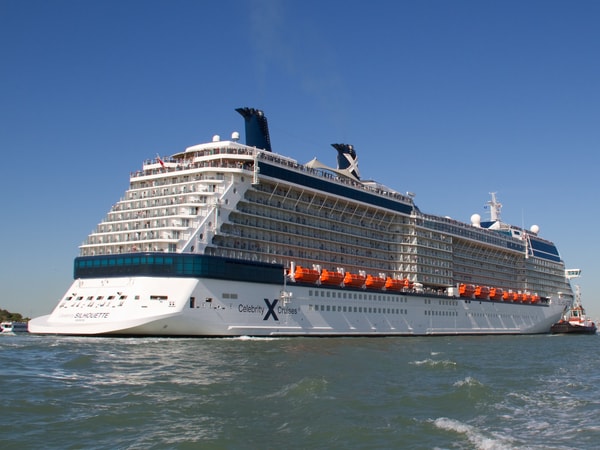 Celebrity Silhouette